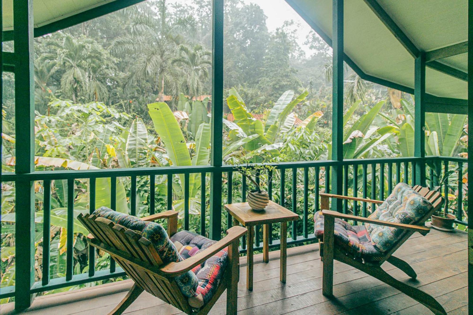 Casa De Mono Bocas Bed and Breakfast Big Creek Εξωτερικό φωτογραφία