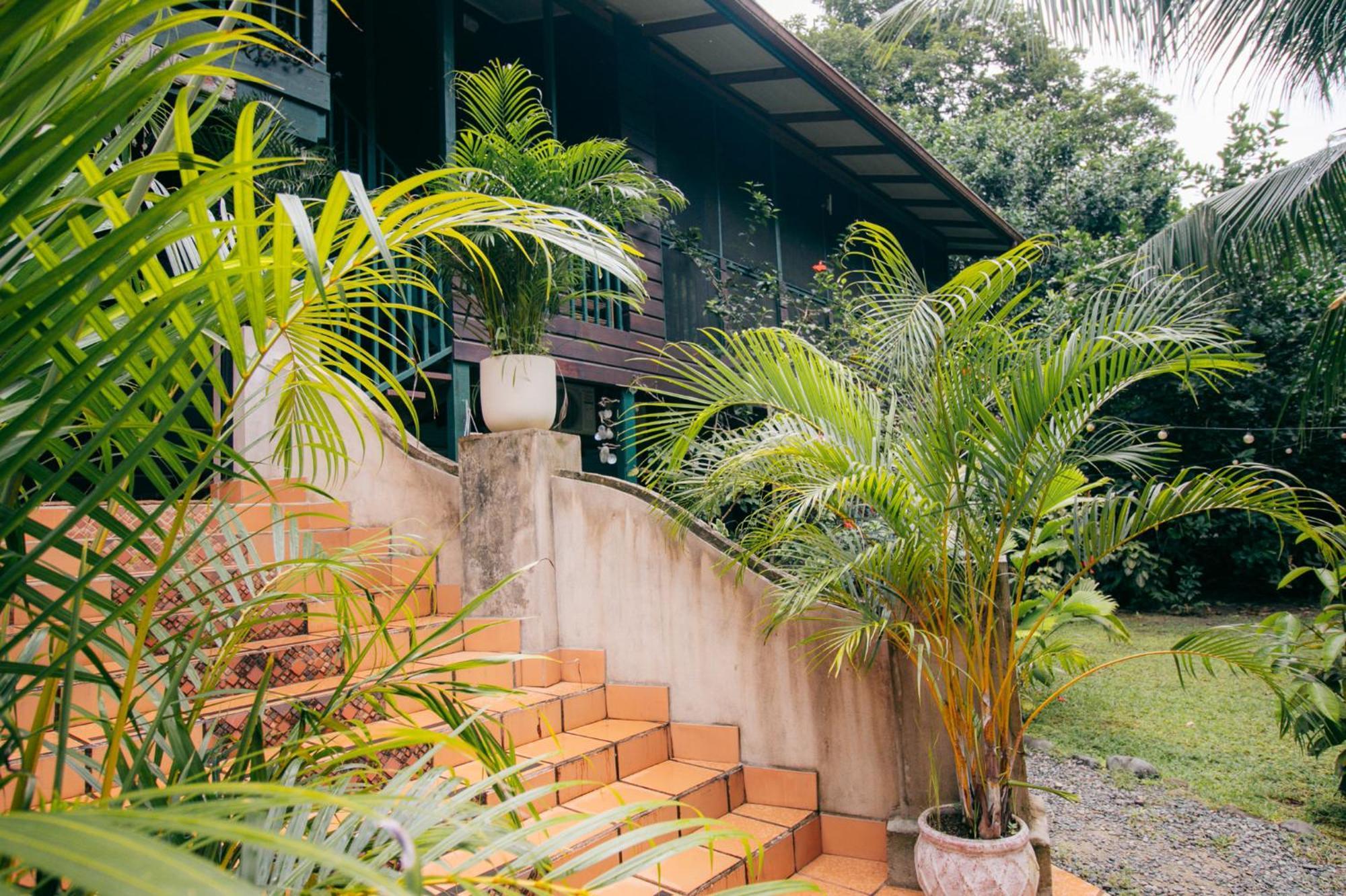 Casa De Mono Bocas Bed and Breakfast Big Creek Εξωτερικό φωτογραφία