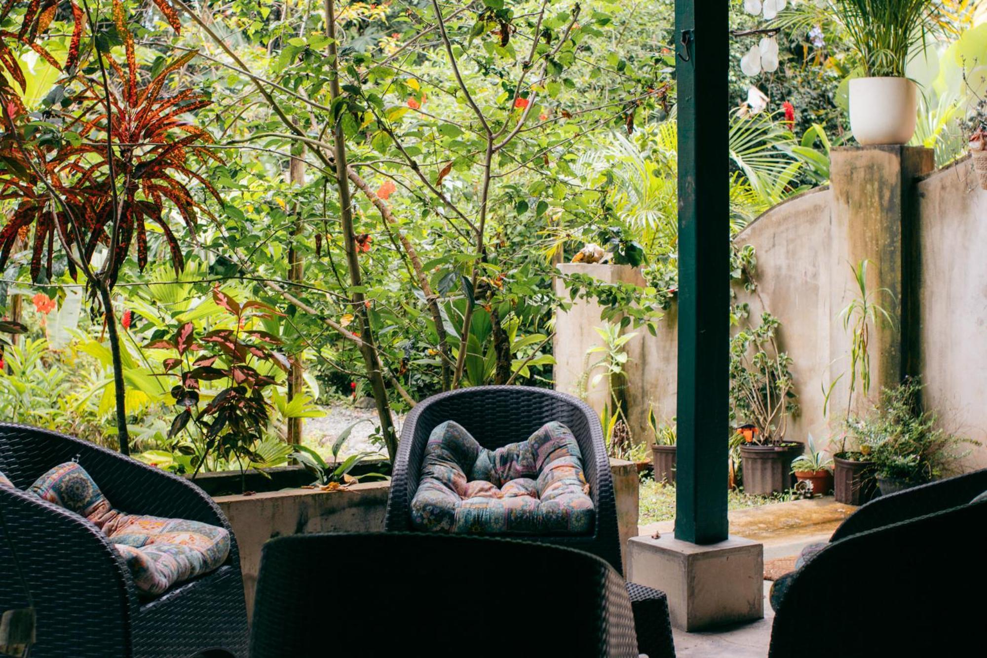 Casa De Mono Bocas Bed and Breakfast Big Creek Εξωτερικό φωτογραφία