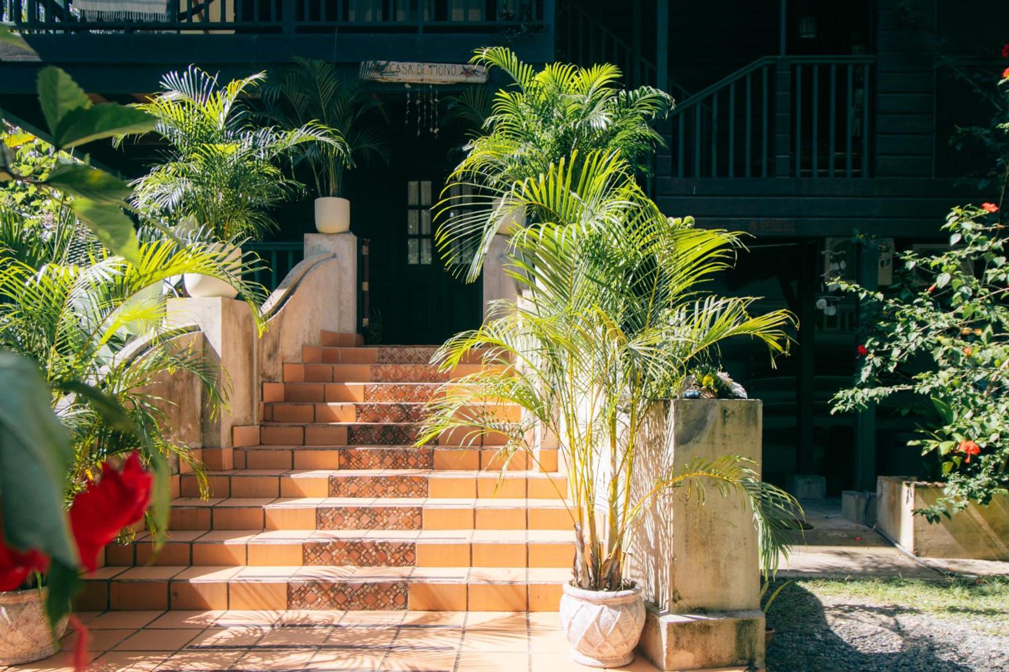 Casa De Mono Bocas Bed and Breakfast Big Creek Εξωτερικό φωτογραφία