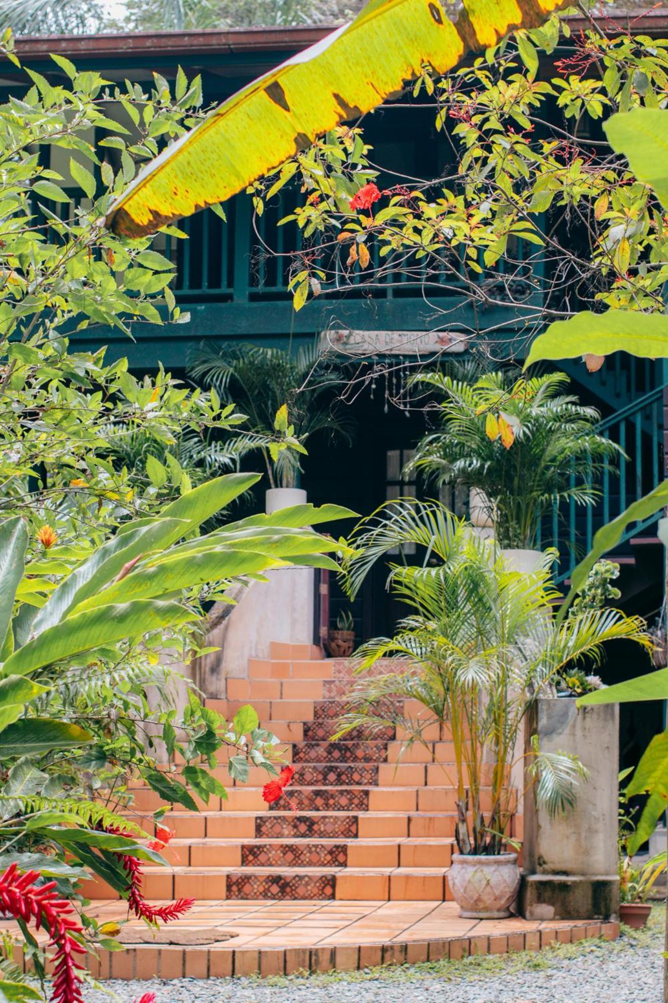 Casa De Mono Bocas Bed and Breakfast Big Creek Εξωτερικό φωτογραφία