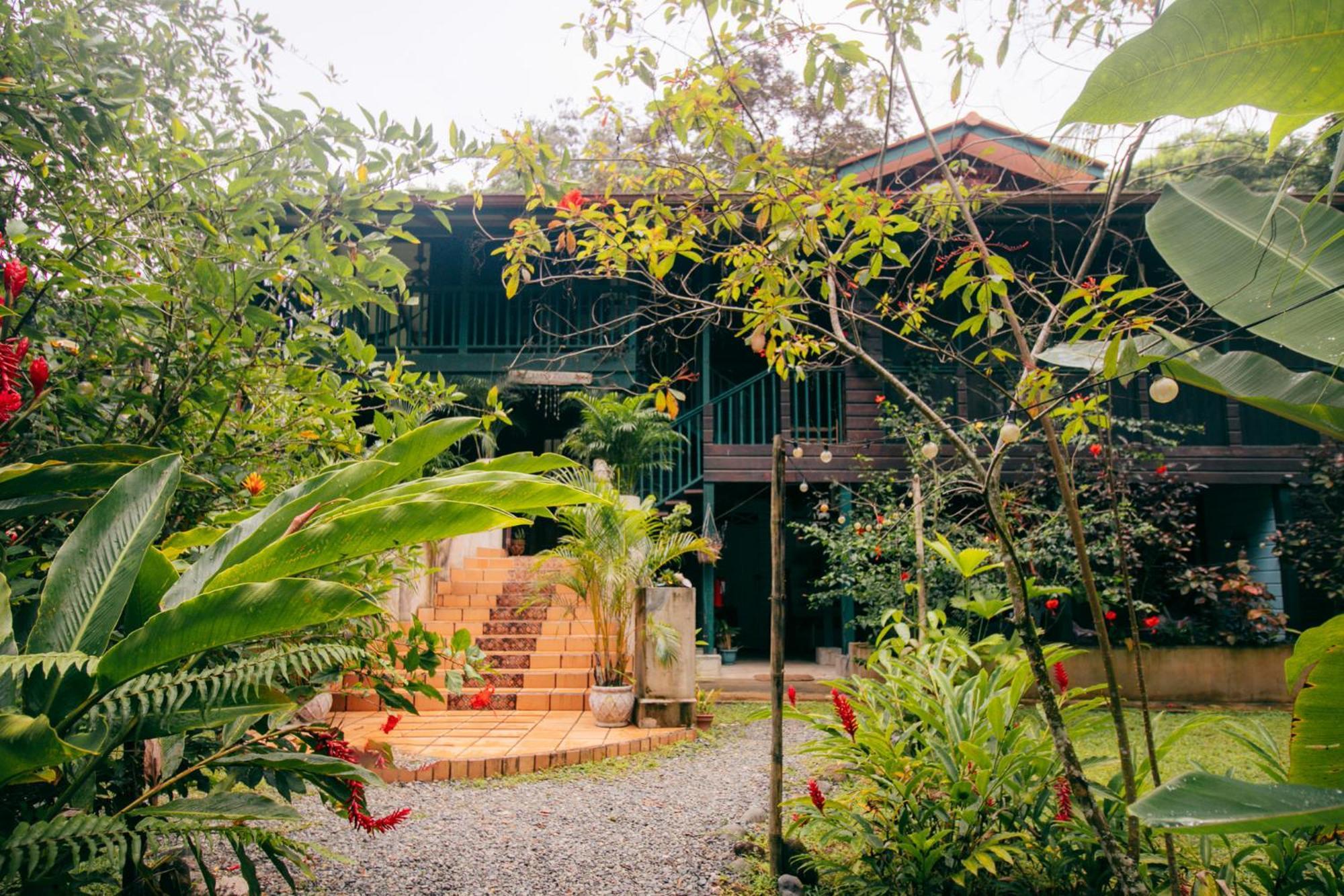 Casa De Mono Bocas Bed and Breakfast Big Creek Εξωτερικό φωτογραφία